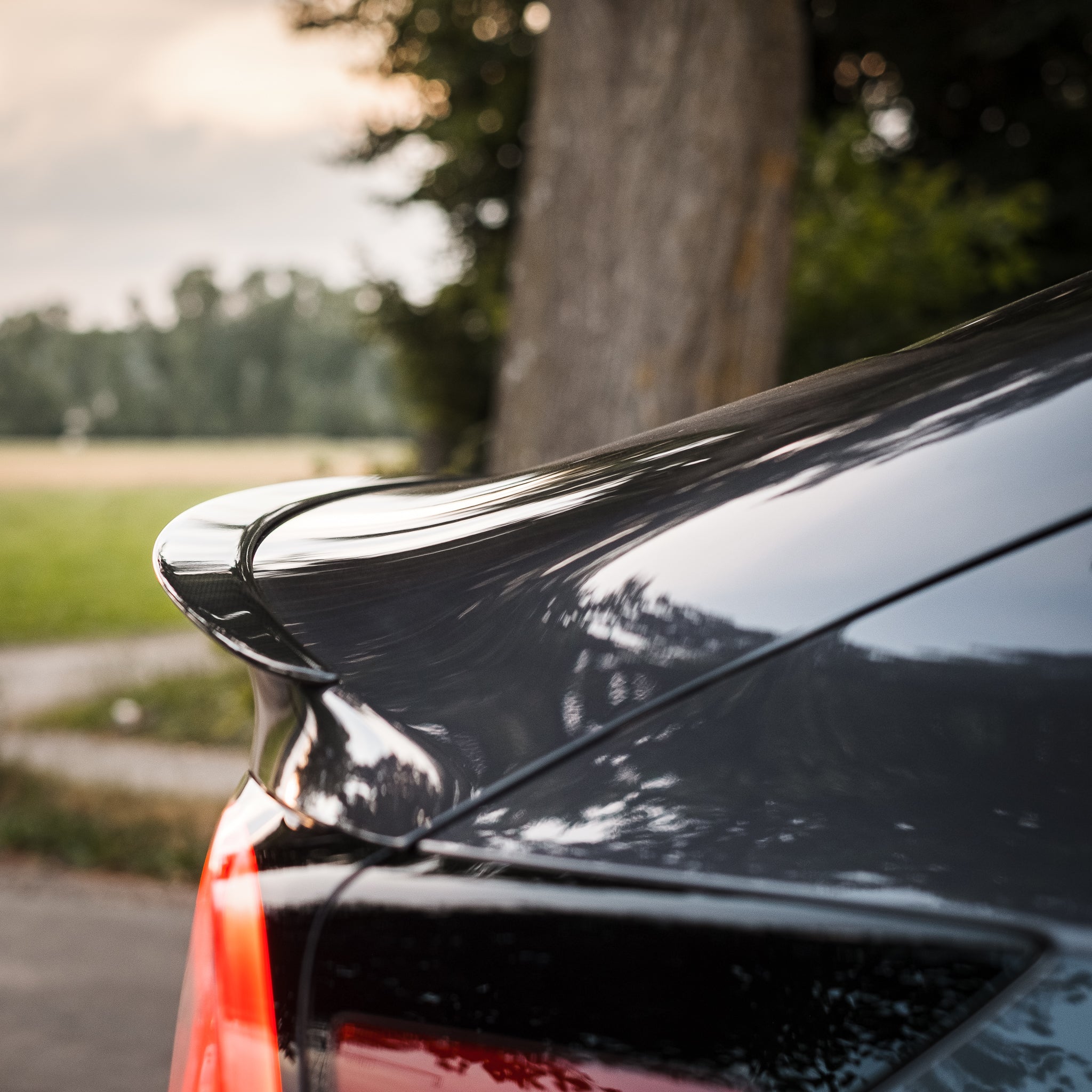 TESSI-GREENLINE Model 3 Heck Spoiler Echt Carbon Matt