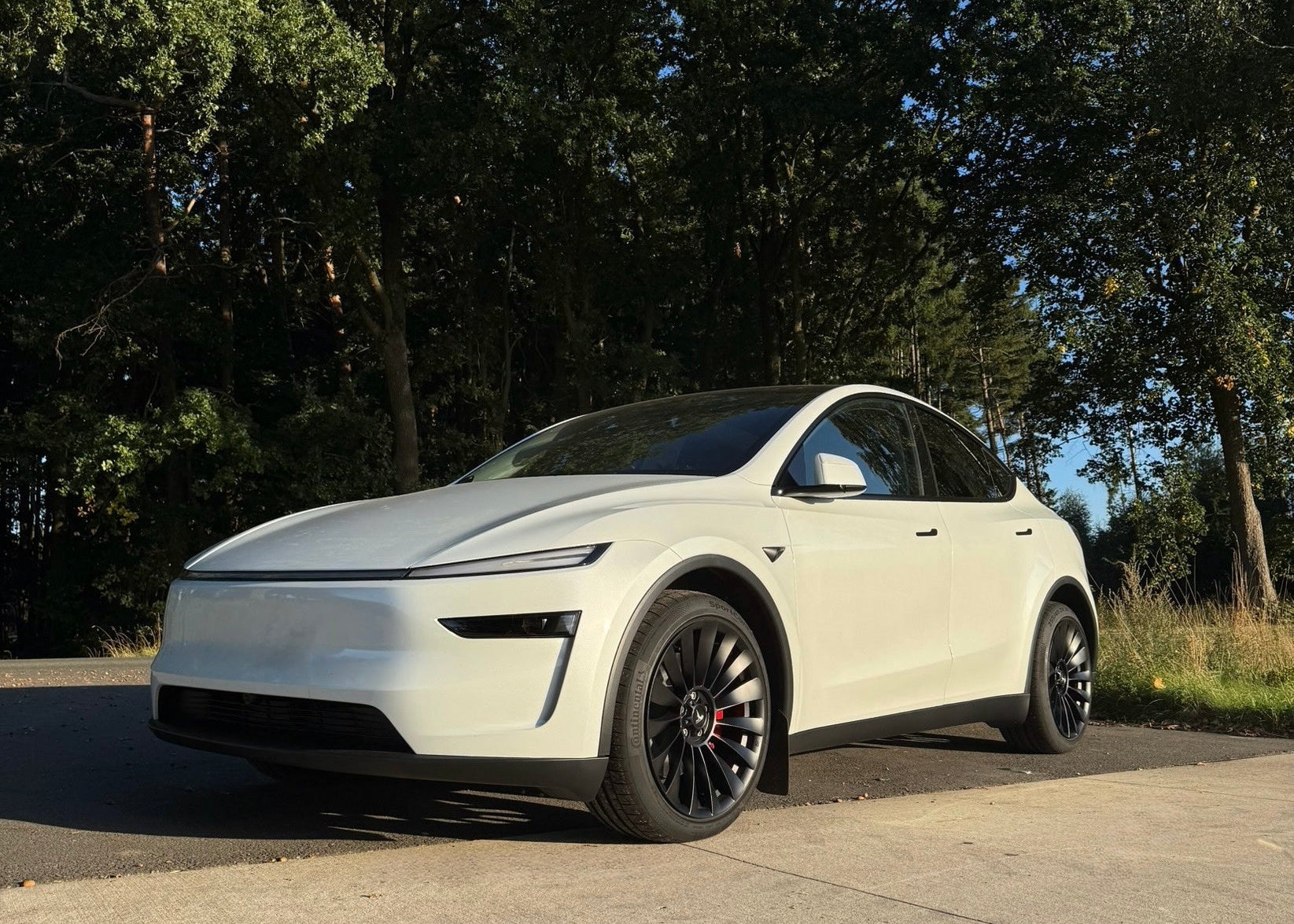 Tesla Model Y Juniper 19 Zoll Winterkomplettrad MSW 37 T Matt Dark Graphite (4 Stück)